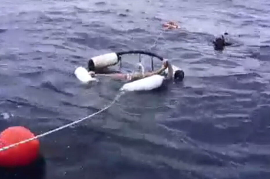 tubarão, Florida, Estados Unidos, Molly Cavalli, dentada, mordida, tornozelo