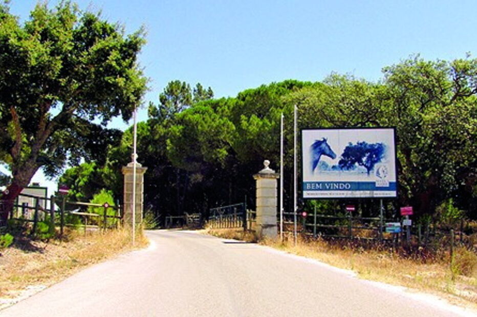 Acidente ocorreu no interior da Mata do Duque