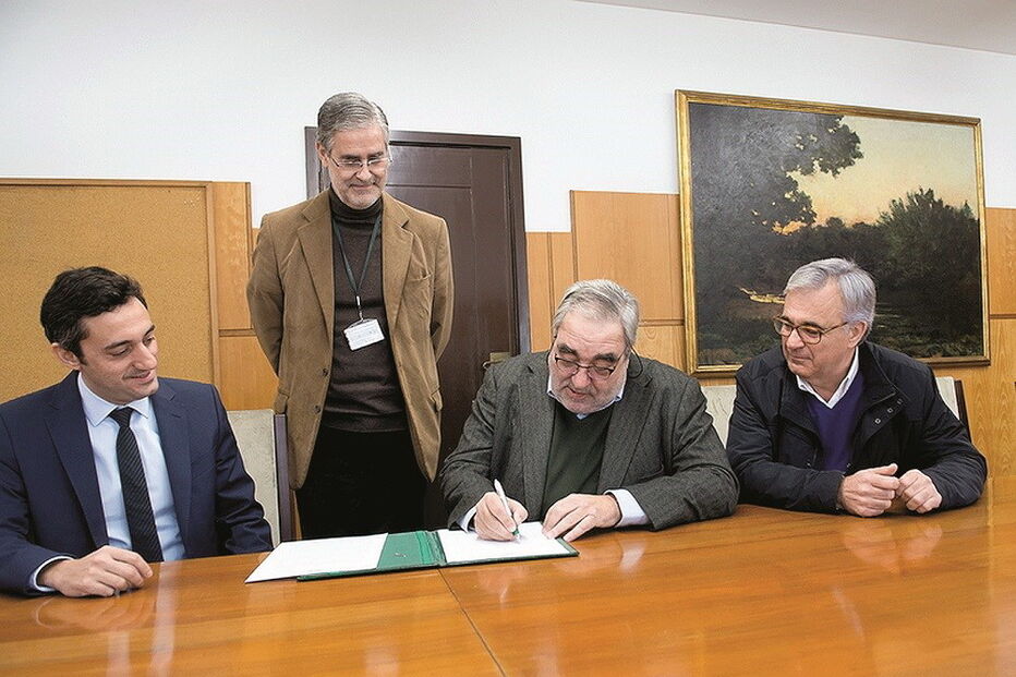 tribunal, direto, Souto Moura, chumo, Matosinhos