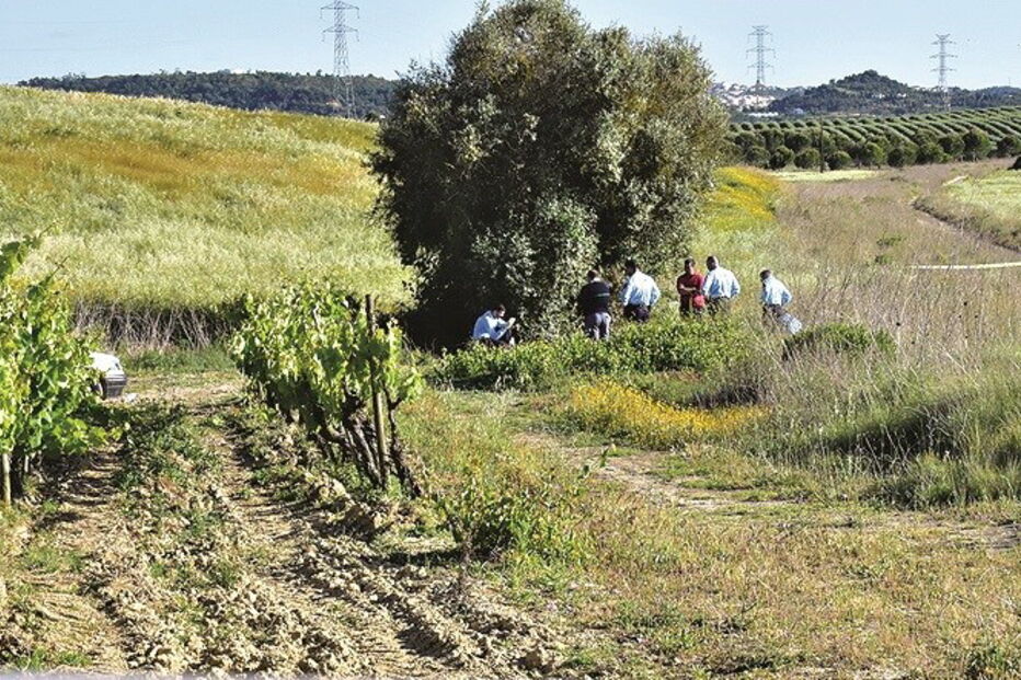 planta, pesticida, mortes, amigos, caminhada, veneno, Ricardo Marques, Alcanhões, Santarém, Filipe Namora