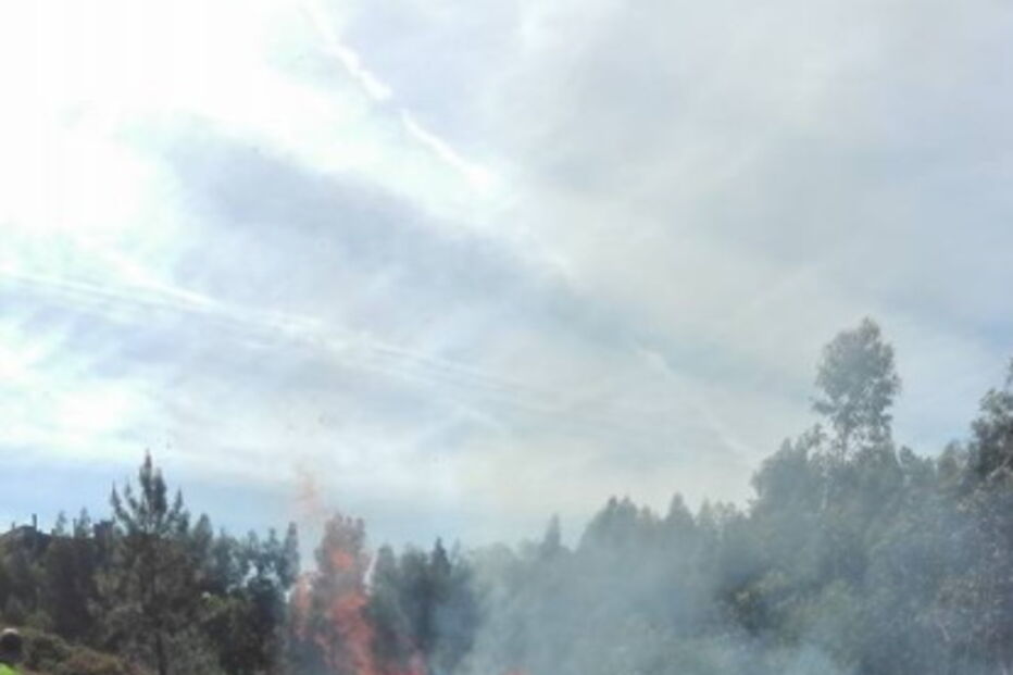 Incêndio, Trofa, Extreme Maia, Bombeiros