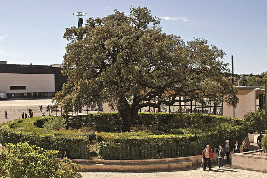 Caminho santo, caminho dos pastorinhos, aldeia, fátima, aljustrel, Lúcia, Francisco, Jacinta, fé, peregrinos, aparições