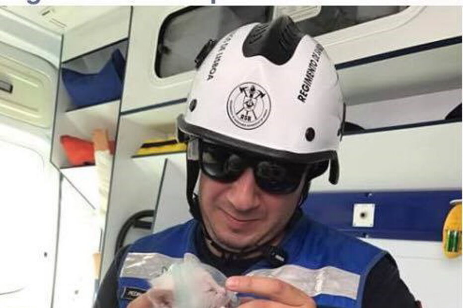 Xabregas, Lisboa, Bombeiros Sapadores de Lisboa, incêndio, salvamento, gato