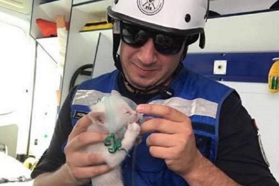 Xabregas, Lisboa, Bombeiros Sapadores de Lisboa, incêndio, salvamento, gato