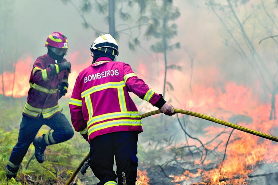 bombeiros, ganhar, fogo, incêndio, dinheiro, boicote, combate, florestais   
