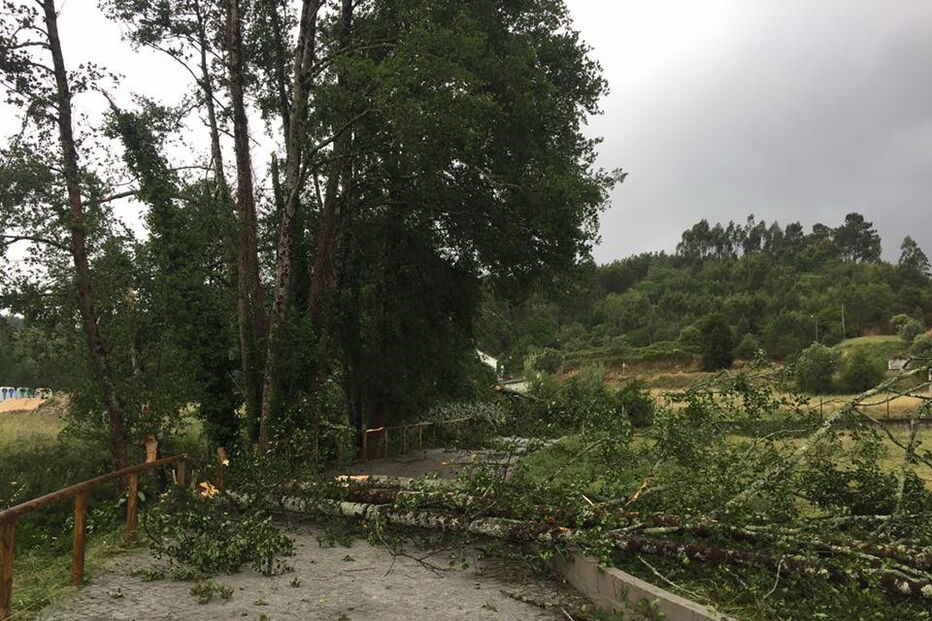 Tornado em Carnide, Pombal, deixou rasto de destruição