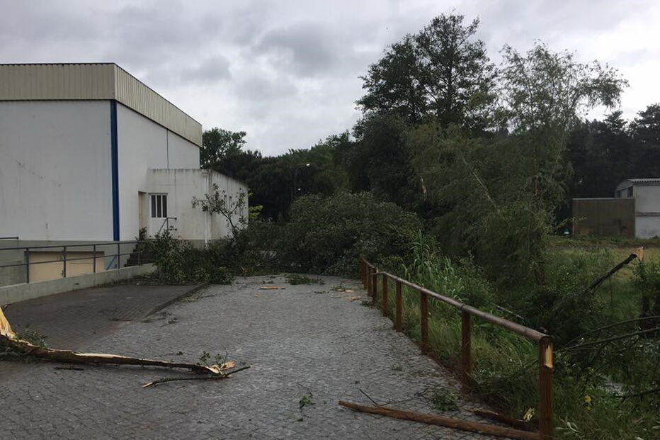 Tornado em Carnide, Pombal, deixou rasto de destruição