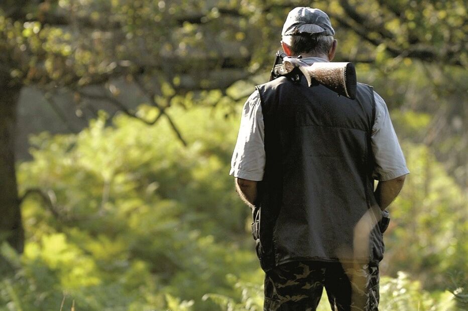 Caçadores vão ser obrigados a fazer-se acompanhar da autorização de caça  