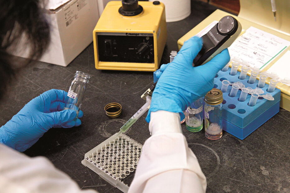 Salários dos investigadores com doutoramento vão subir substancialmente após a integração