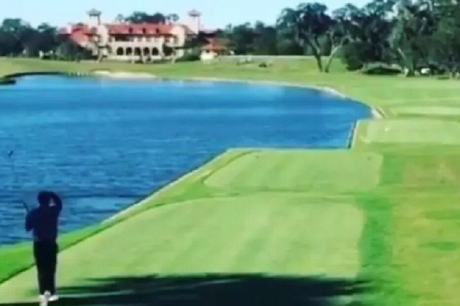 TPC Sawgrass, Estados Unidos, desporto, golfe, morte, pato