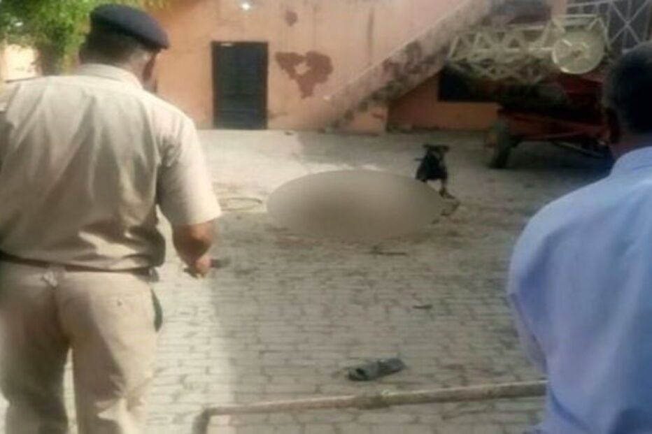 2017-05-13_00_42.09 Polícia e populares encurralaram o cão com recurso a varas e pedras. O rottweiler matou o dono e comeu a carne durante uma hora.JPG