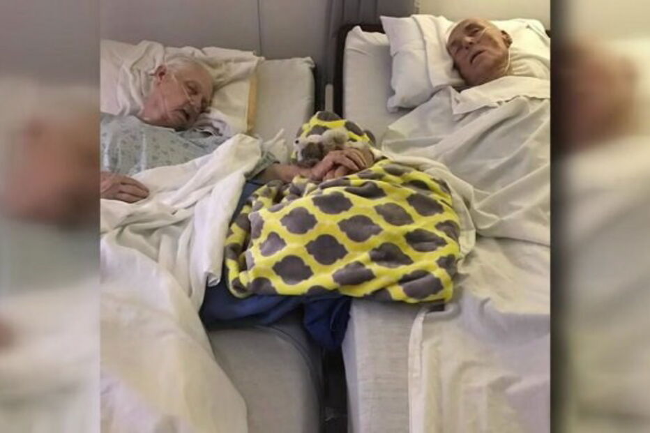 2017-05-13_13_13.29 13-05-2017 casal morre de mãos dadas após casamento de 62 anos.jpg