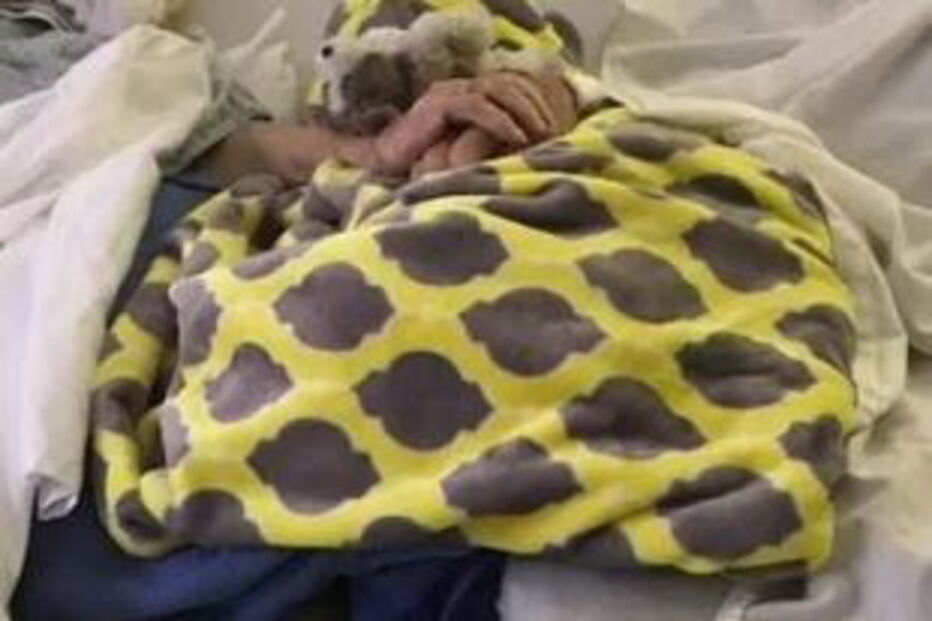 2017-05-13_13_13.29 Idosos de mãos dadas, no fim de uma vida inteira em comum.JPG