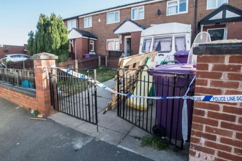 American Bully, Liverpool, Reino Unido, cães perigosos, cão, cães, 2 anos, bebé, atacada, ataque, grave, casa