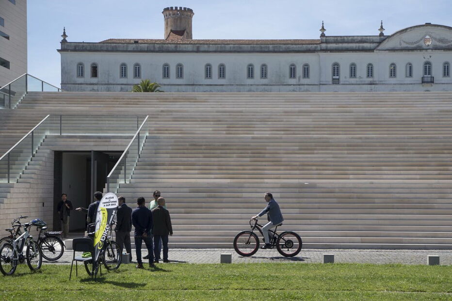 universidade nova, faculdade, economia