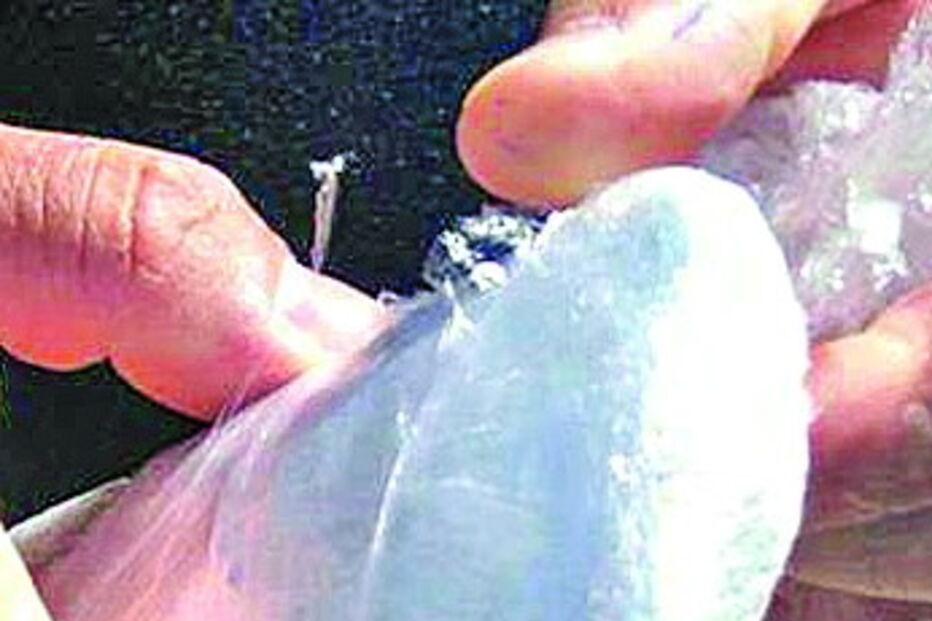 Um dos aparelhos apreendidos  