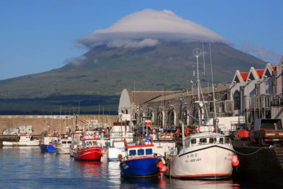 Açores, licenças, pesca, renovação, pescadores, governo, executivo, sustentabilidade, economia, setor