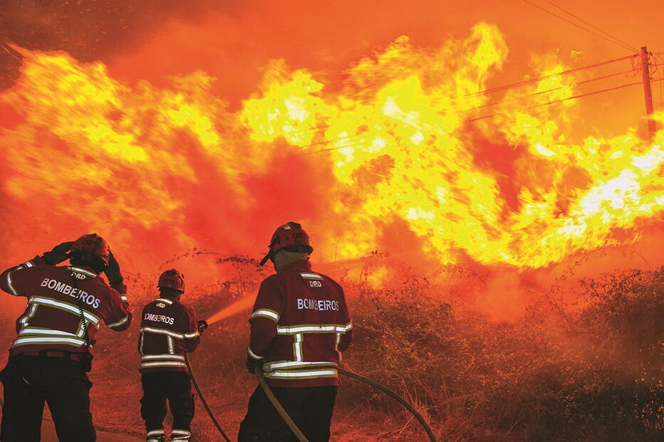 Bombeiros, fogo, xxx, floresta, incêndio, florestal
