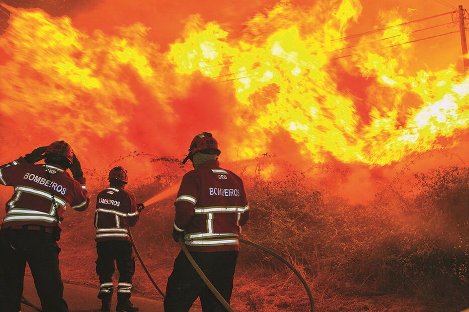 Bombeiros, fogo, xxx, floresta, incêndio, florestal