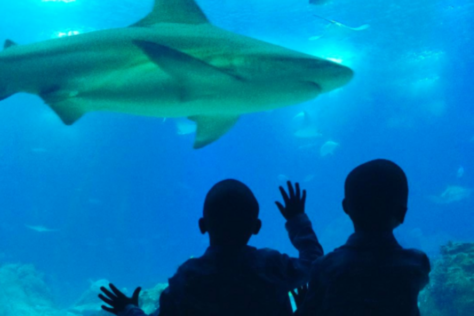 Lisboa, Madonna, Portugal, Oceanário, Ritz