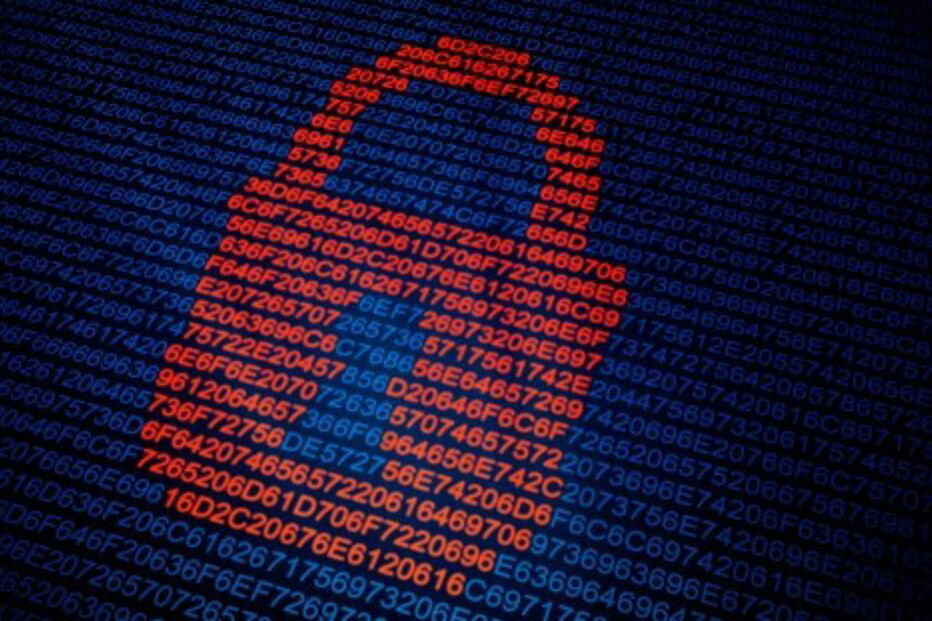 virus, computador, ecrã, ataque informático, ciberataque, informática 