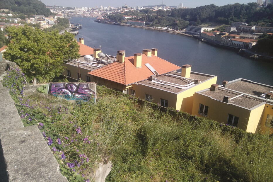 Rui Moreira, eleições, Porto, Selminho, terrenos, Invicta