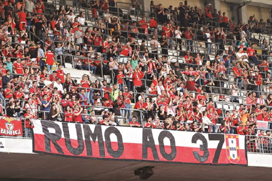 Hermes, Pedro Pereira, Kalaica, Rui Vitória, Liga, Paulo Lopes, desporto, futebol