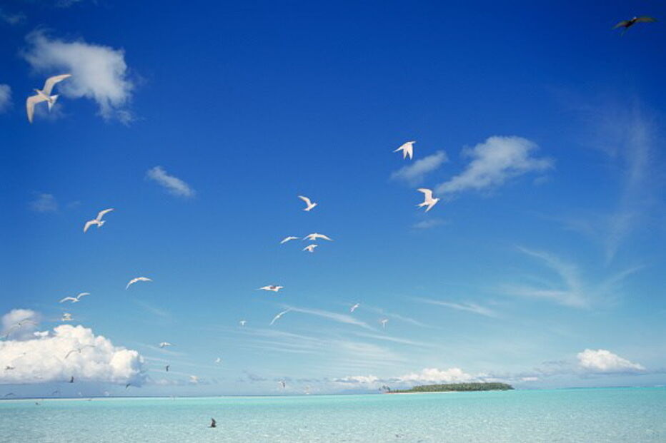 Pippa Middleton, James Mathews, lua-de-mel, Tatiaroa, ilha, Polinésia Francesa, casado