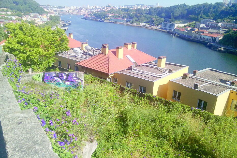 Um terreno junto ao Douro está no centro do diferendo  