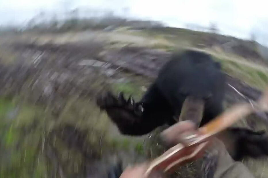 Caçador fila ataque de urso negro
