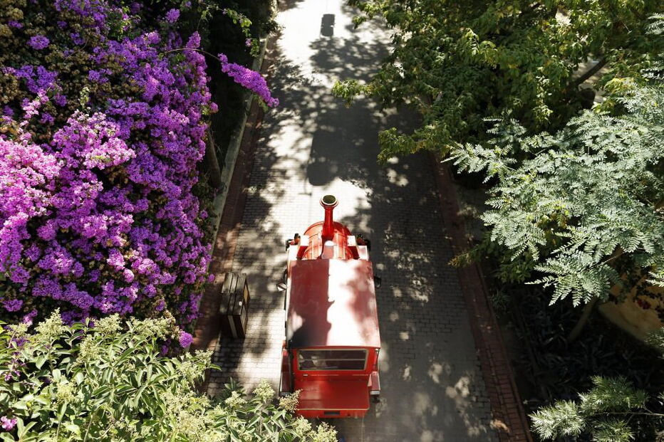 Jardim Zoológico, Zoo, animais, Lisboa