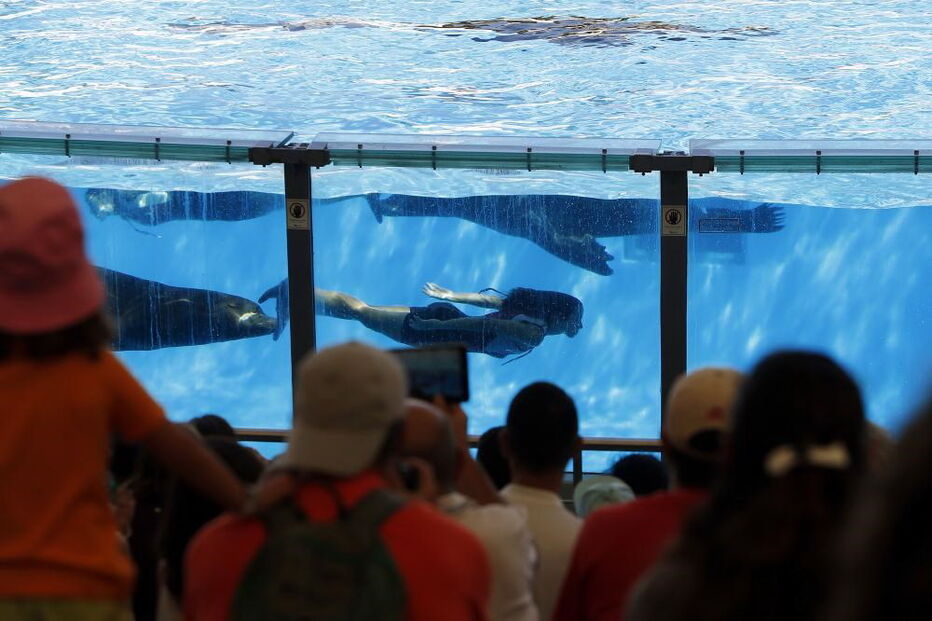 Jardim Zoológico, Zoo, animais, Lisboa