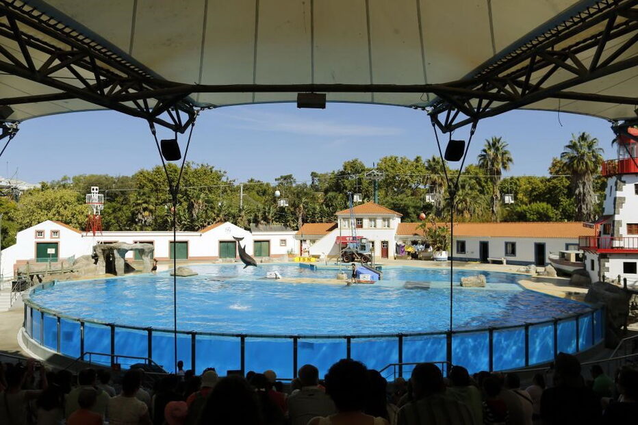Jardim Zoológico, Zoo, animais, Lisboa