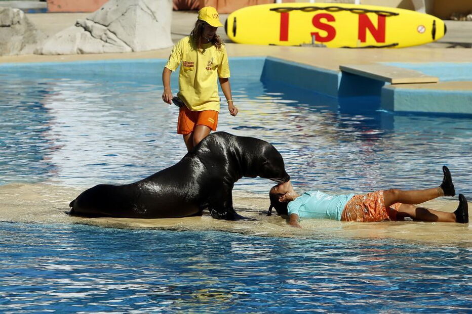 Jardim Zoológico, Zoo, animais, Lisboa