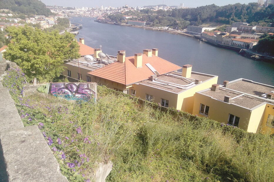 prédios, Selminho, Arrábida, venda, terreno, calçada