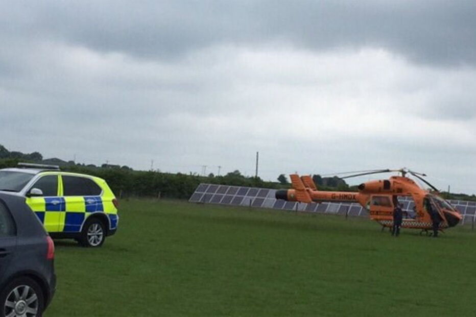 Reino Unido, Zoo Hamerton, Malásia, interesse humano, animais