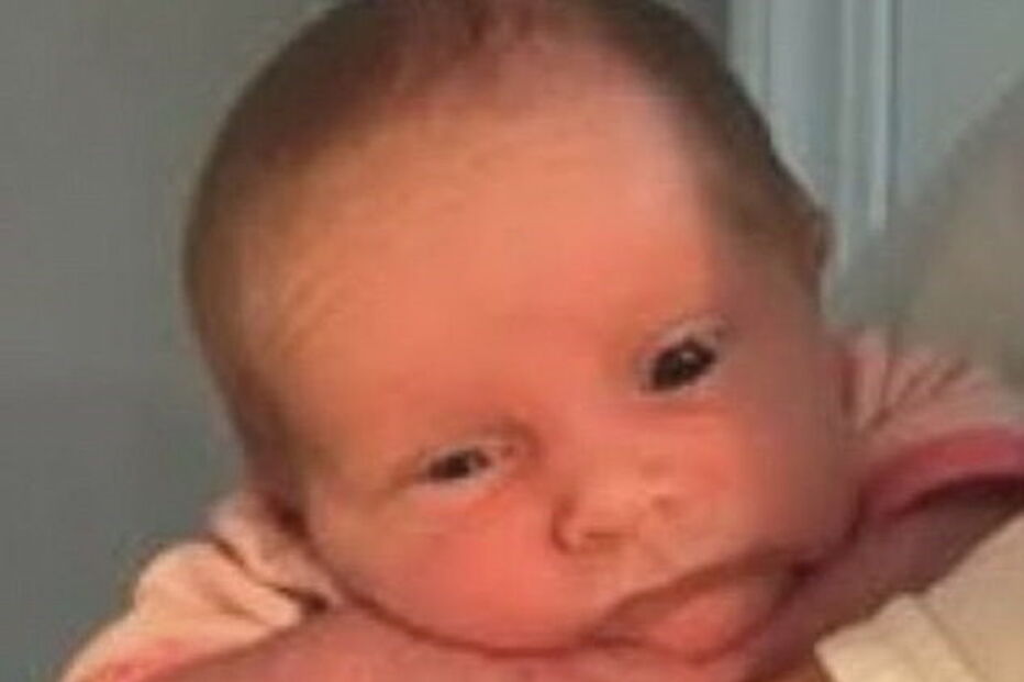 Bebé foi deixada com os três cães da família