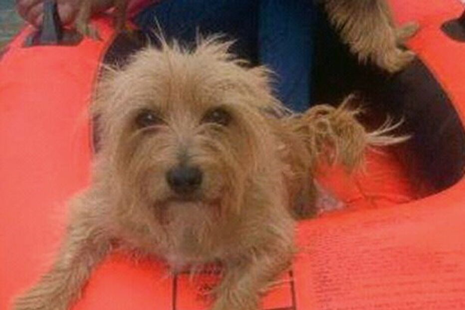 2017-05-30_13_47.35 Spike2.jpg