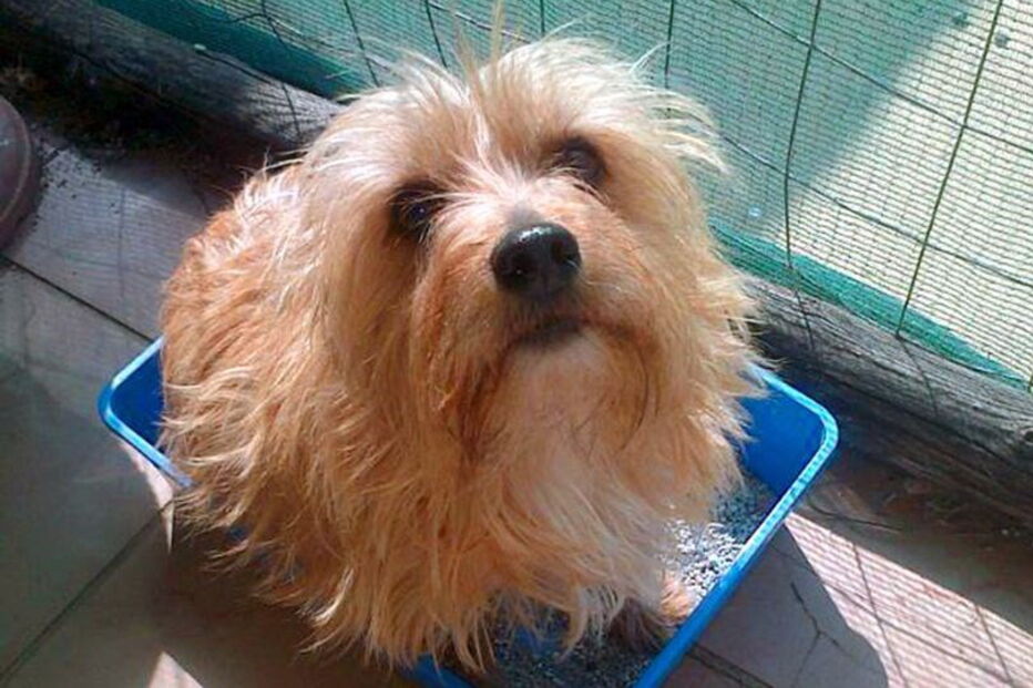 2017-05-30_13_47.36 spike3.jpg