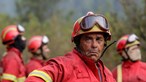 Bombeiros com dezenas de milhares de euros em danos com incêndio
