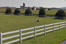 Travis Wagner admitiu ter tido sexo com um pónei