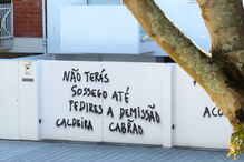 SAD, FC Porto, desporto, futebol, grafitis, claque