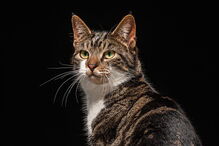 2017-06-08_13_23.24 670924342.jpg