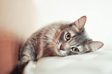 2017-06-08_13_34.09 173180018.jpg