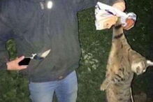 Alunos de veterinária competem para ver quem mata animal maior