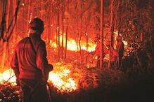 Bombeiros combatem fogo