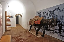 Redondo, Aldeia da Serra, Museu do Vinho, Vale, Vitorino, Museu do Barro de Redondo, Évora, Janita Salomé, Convento de São Paulo, praça da República, turismo, costumes e tradições