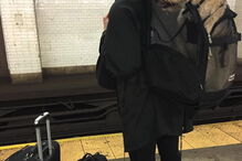 Nova Iorque, Estados Unidos, Metropolitan Transport Authority, ambiente, animais, sacos, metro, lei