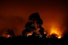 Incêndio em Pedrógão Grande fez dezenas de vítimas