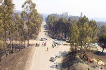 Muitos corpos foram encontrados dentro de carros. Vítimas tentavam fugir quando foram cercadas pelo fogo em Pedrógão Grande